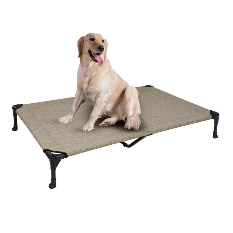 Coolaroo hot sale dog cot